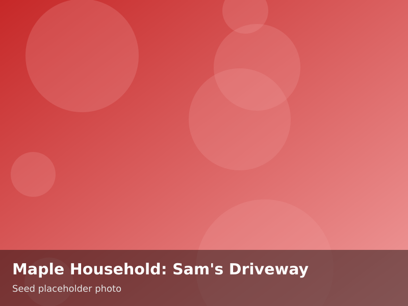 Overview of Maple Household: Sam's Driveway
