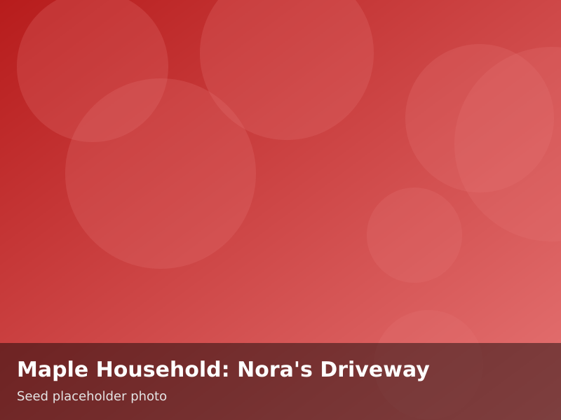 Overview of Maple Household: Nora's Driveway