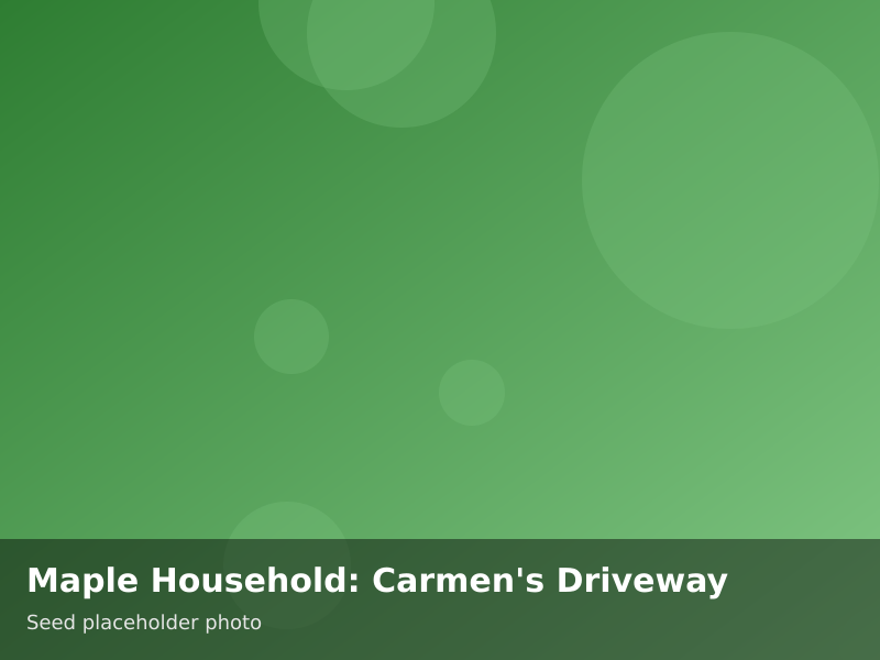 Overview of Maple Household: Carmen's Driveway