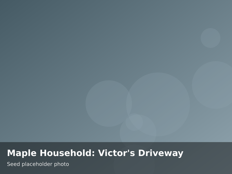 Overview of Maple Household: Victor's Driveway