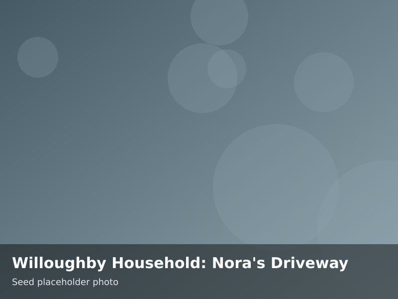 Overview of Willoughby Household: Nora's Driveway